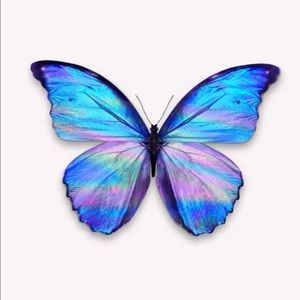 Meet your Posher, Yaritzel